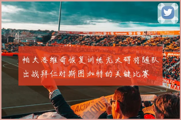 帕夫洛维奇恢复训练无大碍将随队出战拜仁对斯图加特的关键比赛