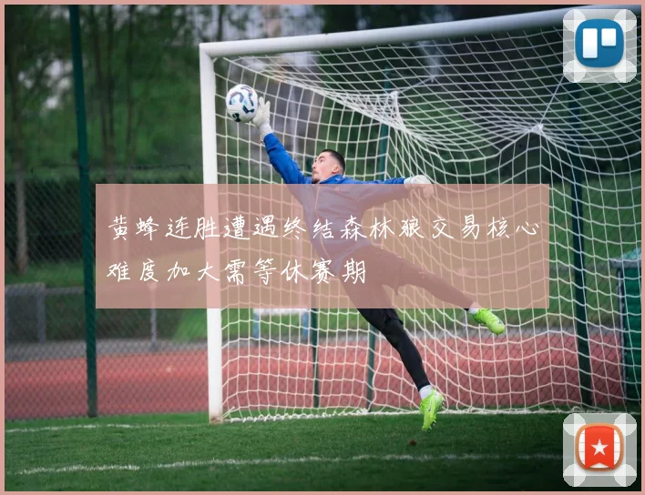黄蜂连胜遭遇终结森林狼交易核心难度加大需等休赛期