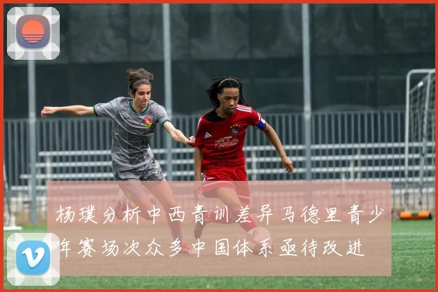 杨璞分析中西青训差异马德里青少年赛场次众多中国体系亟待改进