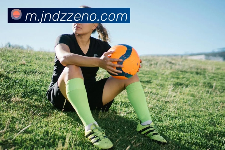 App Interface Preview